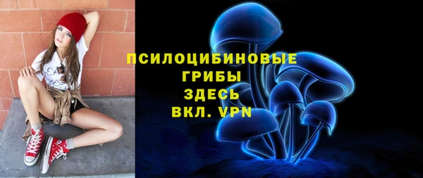 метадон Арсеньев